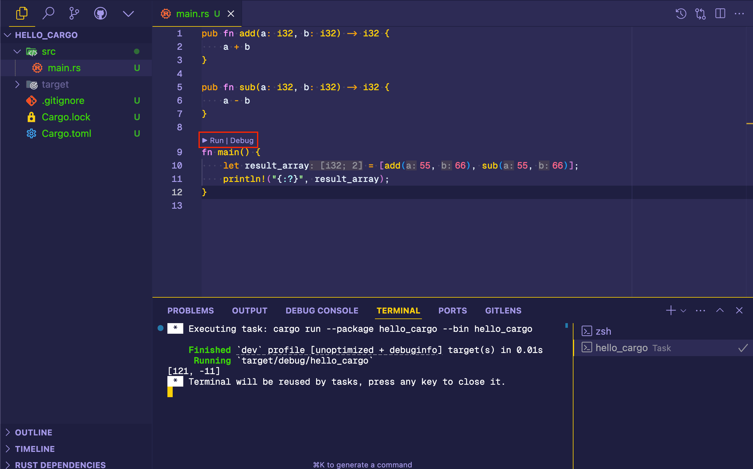 cargo run on VS Code